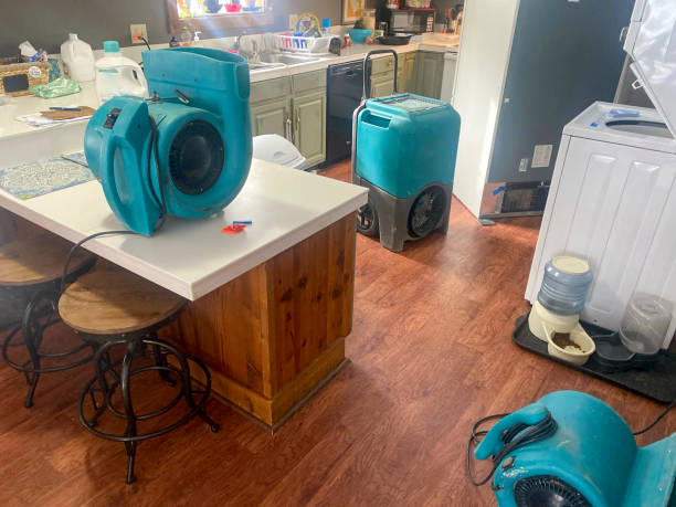 Best 24-hour water damage restoration  in Huber Heights, OH