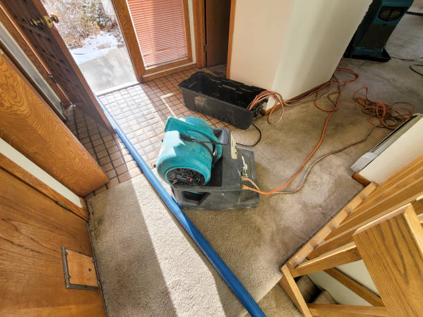 Best Local water damage restoration  in Huber Heights, OH