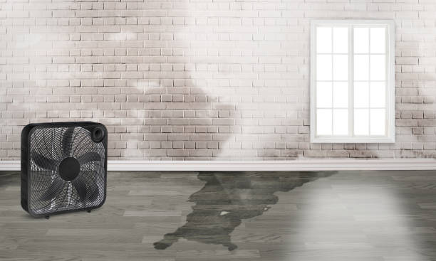 Best Flood restoration services  in Huber Heights, OH