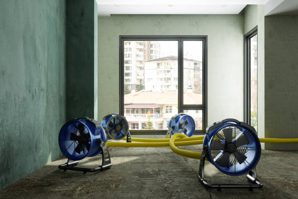 Best Water damage restoration near me  in Huber Heights, OH