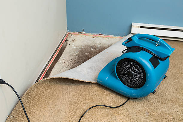 Best Commercial water damage restoration  in Huber Heights, OH